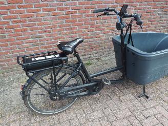 Overige  Dolly Bakfiets Family picture 7