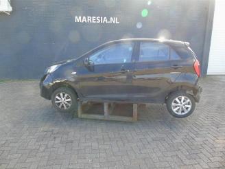 Coche siniestrado Kia Picanto Picanto (TA), Hatchback, 2011 / 2017 1.0 12V 2014/1