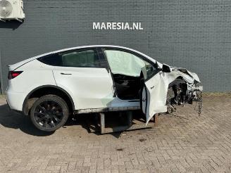 Tesla Model Y Model Y (5YJY), SUV, 2019 / 2025 Long Range,Performance picture 3