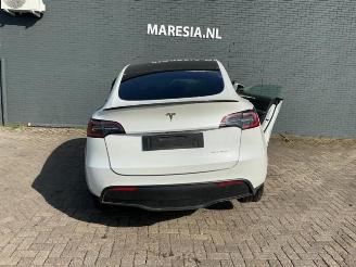 Tesla Model Y Model Y (5YJY), SUV, 2019 / 2025 Long Range,Performance picture 2