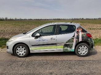 Peugeot 207 1.4 VTI 16V picture 1