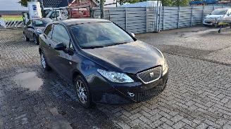 Seat Ibiza  picture 2