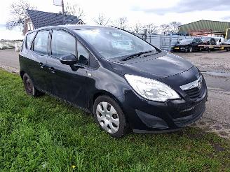 Opel Meriva 1.4 16v picture 2