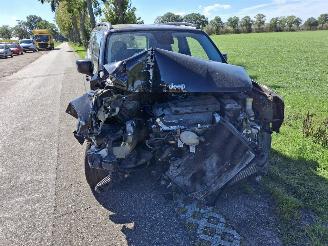 Jeep Renegade  picture 2