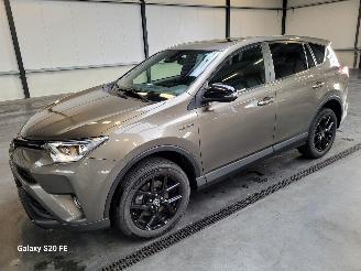 Avarii autoturisme Toyota Rav-4 Hybrid 2.5 114-KW Automaat 2-WD BLACK-EDITION 2018/1