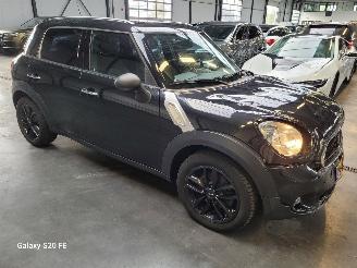 Mini Countryman 1.6 72-KW 6-Bak Chili Panoramadak picture 3