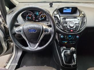 Ford B-Max 1.0 EcoBoost 74-KW Titanium 5drs picture 19