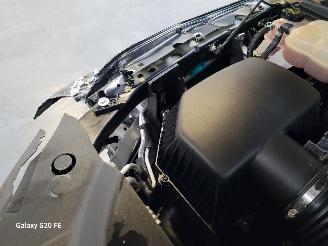 Dodge Ram 3.0 313-KW Automaat 4-WD Dubbel-Cabine LPG picture 19