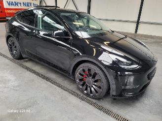 Damaged car Tesla Model Y Performance 393-KW Automaat AWD 2024/12