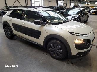 Citroën C4 cactus BLUE 1.6 HDi 73-KW Panoramadak picture 4