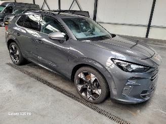 Auto incidentate Cupra Terramar VZ 1.5 e-Hybrid 200-KW Automaat Plug-In 2025/5