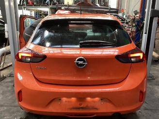 Opel Corsa Corsa F (UB/UH/UP), Hatchback 5-drs, 2019 1.2 12V 75 picture 14