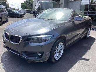 Uttjänta bilar auto BMW 2-serie 2 serie (F23), Cabrio, 2014 / 2021 218i 1.5 TwinPower Turbo 12V 2019/1