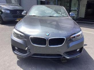 BMW 2-serie 2 serie (F23), Cabrio, 2014 / 2021 218i 1.5 TwinPower Turbo 12V picture 2