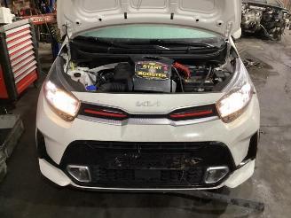Kia Picanto Picanto (JA), Hatchback, 2017 1.0 DPi 12V picture 16