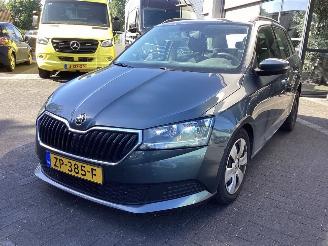 Schadeauto Skoda Fabia 1.0 Active 2019/7