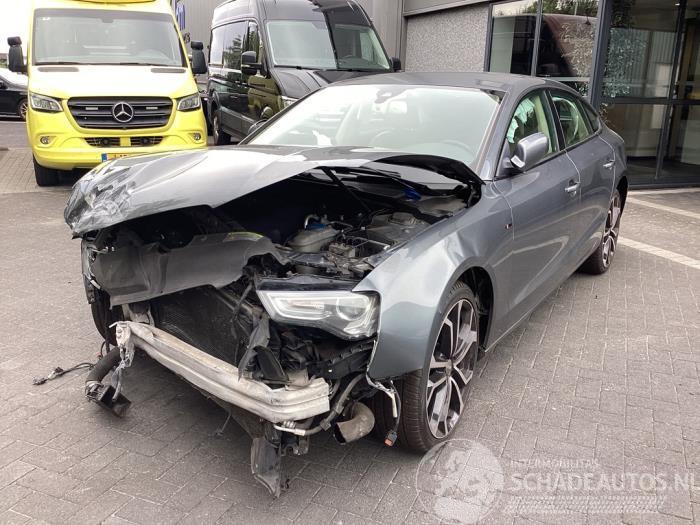 Audi 50 A5 Sportback (8TA), Liftback, 2009 / 2017 2.0 TFSI 16V
