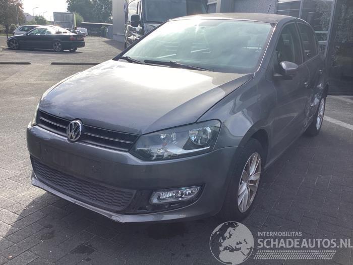 Volkswagen Polo Polo V (6R), Hatchback, 2009 / 2017 1.2 12V BlueMotion Technology