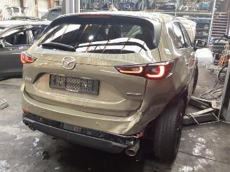Mazda CX-5 CX-5 II (KF), SUV, 2016 2.0 SkyActiv-G 165 16V 2WD picture 15
