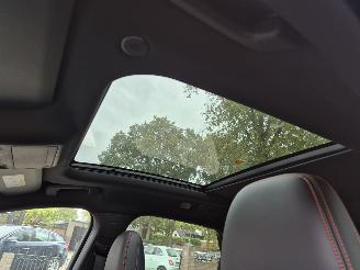 Ford Kuga 2.5 PHEV ST-LINE picture 20