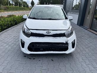 Kia Picanto  picture 5