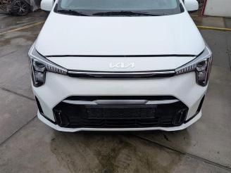 Voiture accidenté Kia Picanto Picanto (JA), Hatchback, 2017 1.0 DPI 12V 2025/10