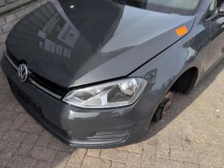 Volkswagen Golf Golf VII (AUA), Hatchback, 2012 / 2021 1.2 TSI 16V picture 2