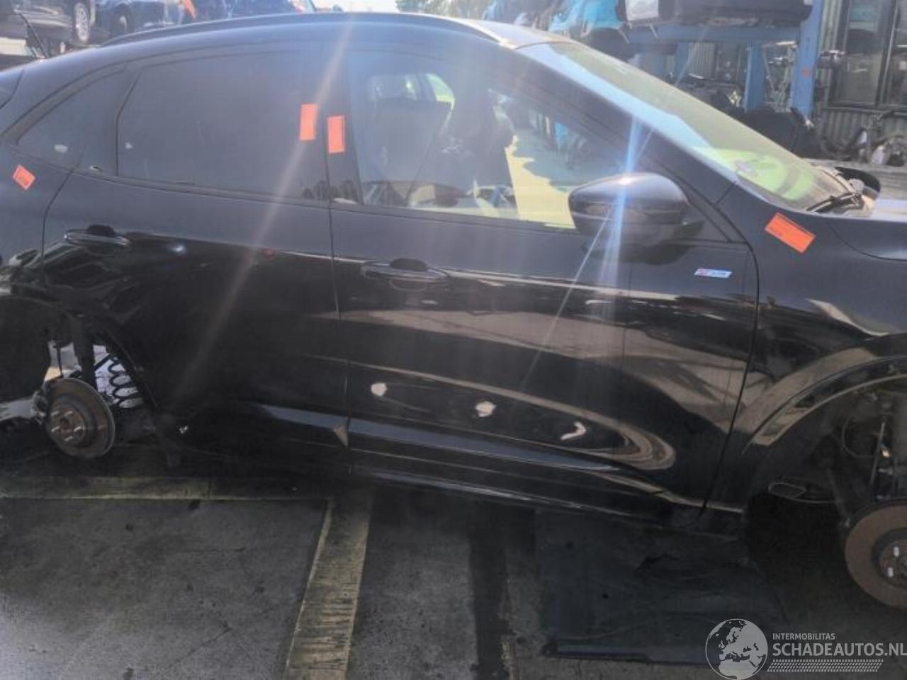 Ford Kuga Kuga III (DFK), SUV, 2019 2.5 PHEV 16V