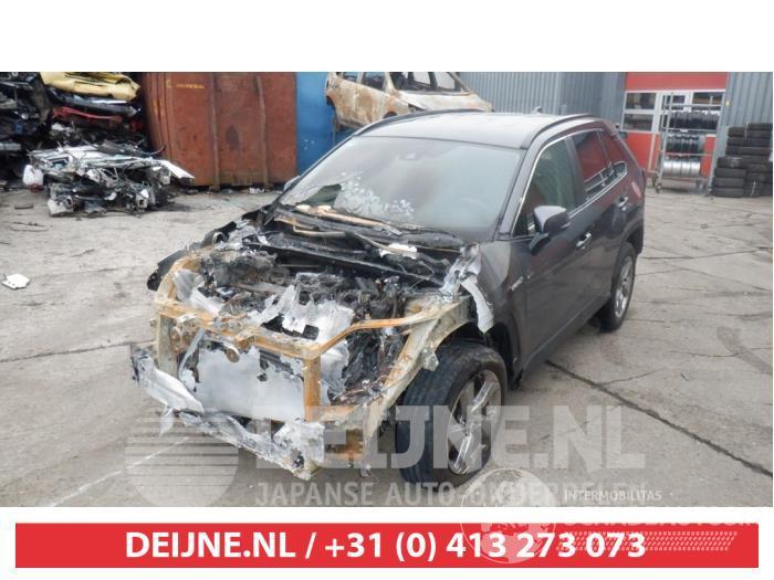 Toyota Rav-4 RAV4 (A5), Terreinwagen, 2018 2.5 Hybrid 16V AWD