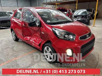 Kia Picanto Picanto (TA), Hatchback, 2011 / 2017 1.0 12V picture 1