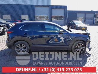 Mazda CX-30 CX-30 (DM), SUV, 2019 2.0 e-SkyActiv-G 122 16V picture 8