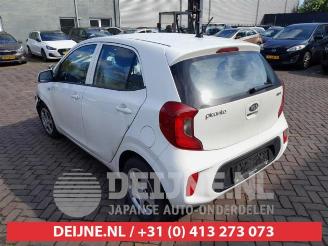 Kia Picanto Picanto (JA), Hatchback, 2017 1.0 12V picture 5