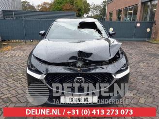 Mazda CX-30 CX-30 (DM), SUV, 2019 2.0 e-SkyActiv-G 122 16V picture 2