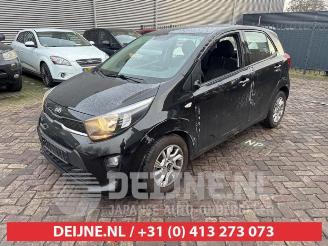 Kia Picanto Picanto (JA), Hatchback, 2017 1.0 12V picture 3