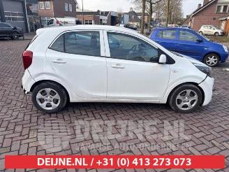 Kia Picanto Picanto (JA), Hatchback, 2017 1.0 12V picture 8