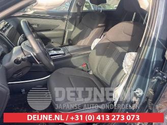 Hyundai Tucson Tucson (NX), SUV, 2020 1.6 T-GDI HEV picture 18