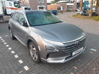 Auto incidentate Hyundai Nexo  2019/7