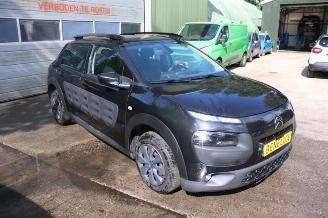 Citroën C4 cactus C4 Cactus (0B/0P), Hatchback 5-drs, 2014 1.6 Blue Hdi 100 picture 2