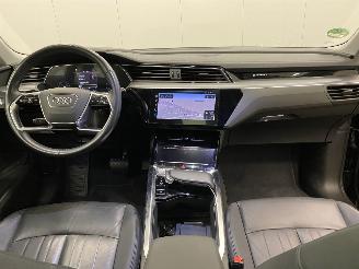 Audi E-tron 50 Quattro Launch Edition Plus 71 kWh Panoramadak picture 12