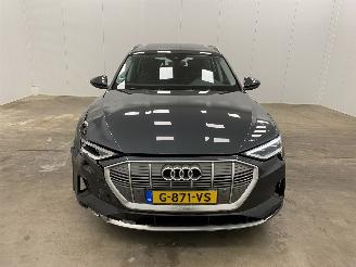 Audi E-tron 50 Quattro Launch Edition Plus 71 kWh Panoramadak picture 5