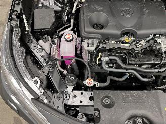 Toyota Rav-4 2.5 Hybrid Panoramadak Navi Clima picture 17