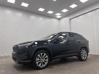 Toyota Rav-4 2.5 Hybrid Navi Clima picture 4