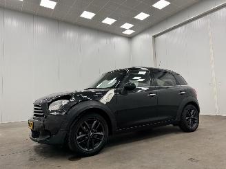 Mini Countryman 1.6i Panoramadak Navi Clima picture 4