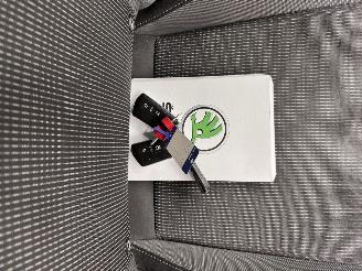 Skoda Octavia Combi 1.4 TSI PHEV Edition Navi Clima picture 14