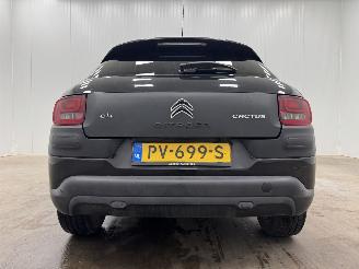 Citroën C4 cactus 1.2 PureTech Shine Navi Clima picture 6