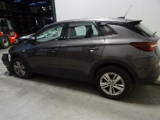 rozbiórka samochody osobowe Opel Grandland 1.2 TURBO 2018/3