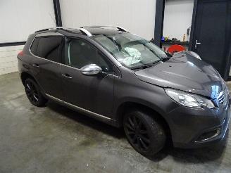 Peugeot 2008 1.6 VTI picture 1