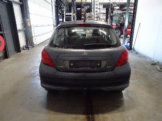 Peugeot 207 1.4 16V picture 2