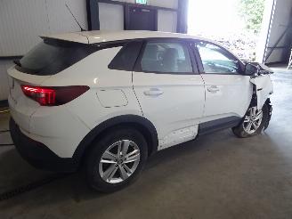 Opel Grandland 1.2 TURBO picture 3