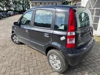 Fiat Panda Panda (169), Hatchback, 2003 / 2013 1.2 Fire picture 5